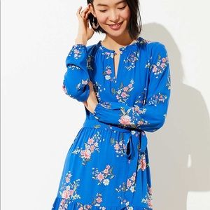 Size 18 gorgeous Loft dress